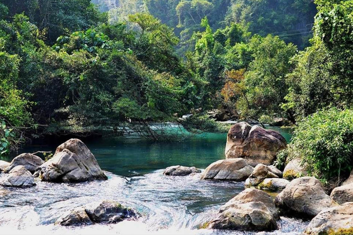 Lush forest landscape surrounding Hua Pe Hot Springs